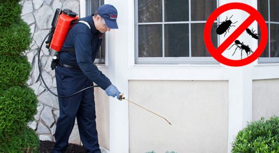 Altınekin Kemirgen İlaçlama böcek ilaçlama ve haşere kontrolü — ilaclama-tr.com